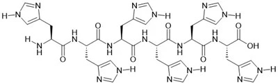6×A Peptide