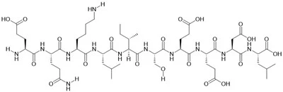 Peiptíd Myc Epitope