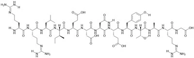 Pp60(v-SRC) Suíomh Uathfhosfaralaithe, Foshraith Próitéin Tyrosine Kinase